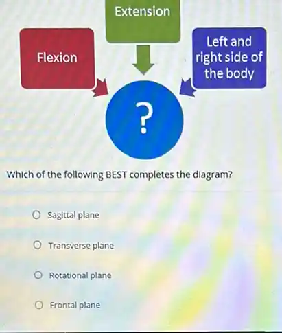 Extension
Flexion
Left and
right side of
the body
Which of the following BEST completes the diagram?
Sagittal plane
Transverse plane
Rotational plane
Frontal plane