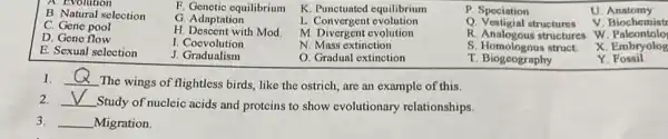 F. Genetic equilibrium
K. Punctuated equilibrium
A. Evolution
B. Natural selection
G. Adaptation
K. Conversed
V. Biochemiso
C. Gene pool
H. Descent with Mod
M. Divergent evolution
w . Palcontolo
E. Sexual selection
J. Convolution
O. Gradual extinction
P. Speciation
Q. Vestigial structures
R. Analogous structures
S. Homologous struct.
U Anatomy
D. Gene flow
I Coevolution
N. Mass extinction
x Embryolog
Y. Fossil
1. __
The wings of flightless birds, like the ostrich,are an example of this.
2. __
Study of nucleic acids and proteins to show evolutionary relationships.
3. __ Migration