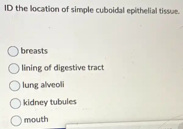 ID the location of simple cuboidal epithelial tissue.
breasts
lining of digestive tract
lung alveoli
kidney tubules
mouth