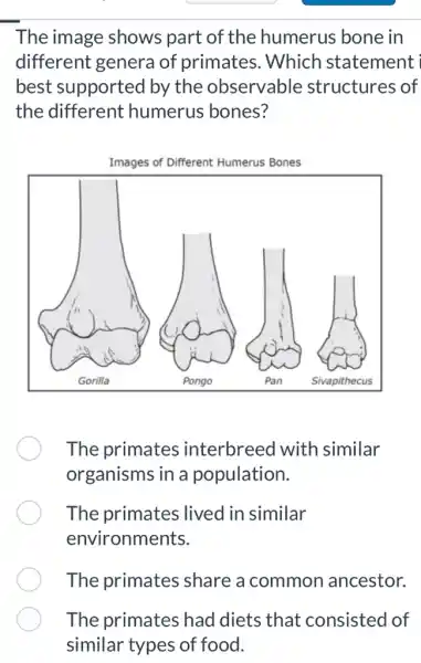 The image shows part of the humerus bone in
different genera of primates . Which statement i
best supported by the observable structures of
the different humerus bones?
The primates interbreed with similar
organisms in a population.
The primates ; lived in similar
environments.
The primates share a common ancestor.
The primates had diets that consisted of
similar types of food.