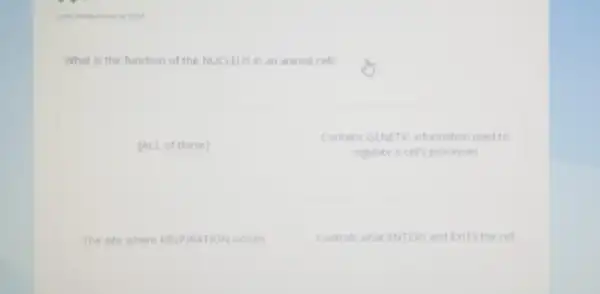 Last Answered ANM
What is the function of the NUCLEUS in an animal cell?
[ALL of these]
Contans GENETIC information used to
regulate a cells processes
The ste where RESPIRATION occurs
Controls what ENTERS and Exits the cell