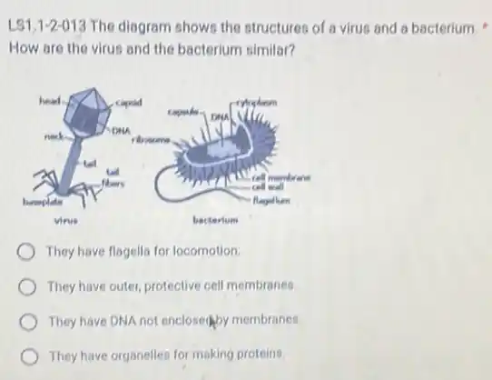 LS1,1-2-013 The diagram shows the structures of a virus and a bacterium.
How are the virus and the bacterium similar?
They have flagella for locomotion.
They have outer, protective cell membranes.
They have DNA not enclosed by membranes.
They have organelles for making proteins.