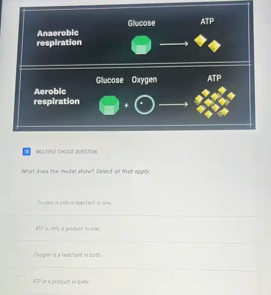 What does the model show? Select all that apply.
Oxygen is only a reactant in one.
ATP is only a product in one.
Oxygen is a reactant in both.
ATP is a product in both.