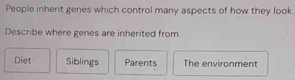 People inherit genes which control many aspects of how they look.
Describe where genes are inherited from.
Diet
Siblings
Parents
The environment