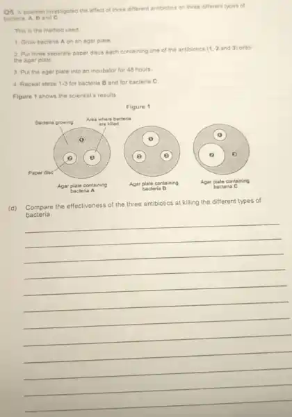 Q5. A scientist investigated the effect of three different antibiotics on three different types of
bacteria, A, B and C
This is the method used
1. Grow bacteria A on an agar plate.
2. Put three separate paper discs each containing one of the antibiotics
(1,2 and 3) onto
the agar plate
3. Put the agar plate into an incubator for 48 hours.
4. Repeat steps 1-3 for bacteria B and for bacteria C.
Figure 1 shows the scientist's results.
Figure 1
(d) Compare the effectiveness of the three antibiotics at killing the different types of
__