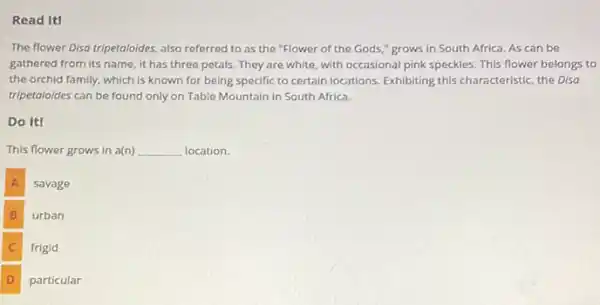 Read It!
The flower Disa tripetaloides also referred to as the "Flower of the Gods," grows in South Africa. As can be
gathered from its name it has three petals.They are white, with occasional pink speckles. This flower belongs to
the orchid family, which is known for being specific to certain locations.Exhibiting this characteristic, the Disa
tripetaloides can be found only on Table Mountain in South Africa.
Do It!
This flower grows in a(n) __ location.
A
savage
B
urban
C c
frigid
D
particular