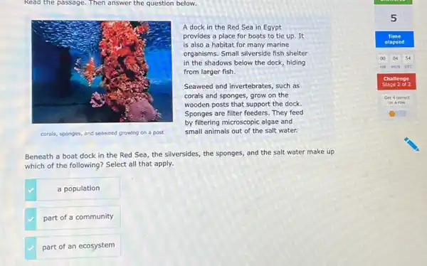 Read the passage. Then answer the question below.
A dock in the Red Sea in Egypt
provides a place for boats to tie up . It
is also a habitat for many marine
organisms. Small silverside fish shelter
in the shadows below the dock, hiding
from larger fish.
Seaweed and invertebrates, such as
corals and sponges, grow on the
wooden posts that support the dock.
Sponges are filter feeders They feed
by filtering microscopic algae and
small animals out of the salt water.
Beneath a boat dock in the Red Sea the silversides, the sponges and the salt water make up
which of the following?Select all that apply.
a population
part of a community
part of an ecosystem