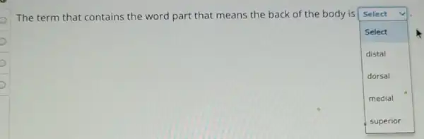 The term that contains the word part that means the back of the body is Select
square 
Select
distal
dorsal
medial