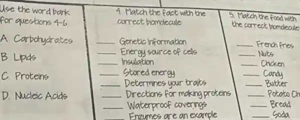 Use the word bark for questions 4-6.
A Carbohydrates
B Lipids
C. Proteins
D. Nucleic Acids
4. Match the fact with the correct biomoleale
Genetic information Energy source of cells Insulation
Stored energy
Determines your traits
Directions for making proteins Waterproof coverings
Enzumes are an example
5. Match the food with the the correct biomoleale
French fries
Nuts
Chicken
Candy
Butter
Potato Ch
Bread
Soda