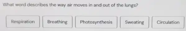 What word describes the way air moves in and out of the lungs?
Respiration
Breathing
Photosynthesis
Sweating
Circulation