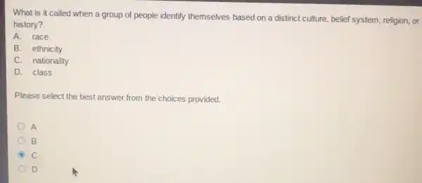 What is it called when a group of people identify themselves based on a distinct culture, belief system, religion, or
history?
A. race
B. ethnicity
C. nationality
D. class
Please select the best answer from the choices provided.
A
B
C
D